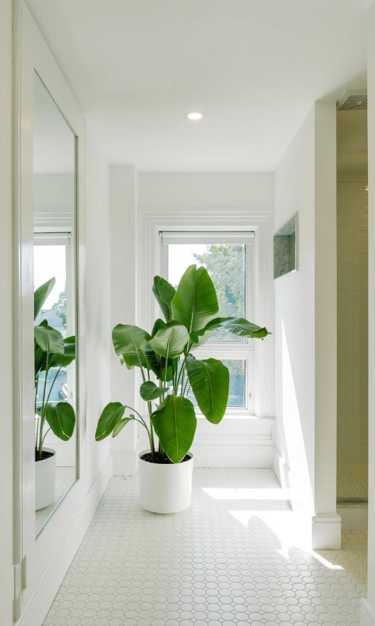 The Flats West Apartment เวลลิงตัน ภายนอก รูปภาพ